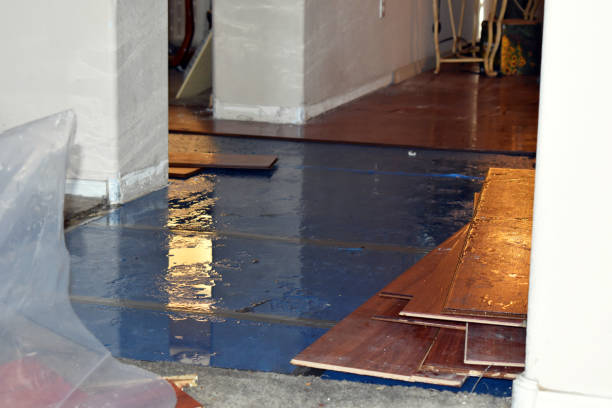 Professional Basement Flooding technician working in Round Top, TX